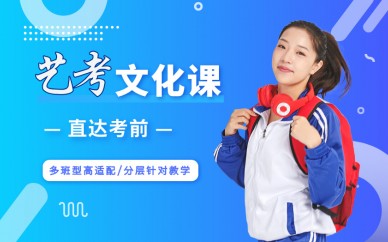 广州学大教育广州艺考生文化课全科辅导班