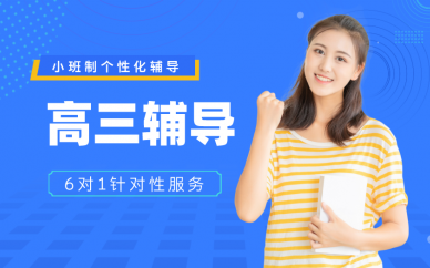南京学大教育南京个性化全日制高三辅导班